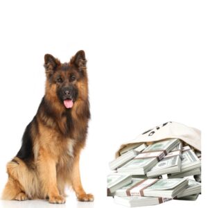 Saving money for pet owners